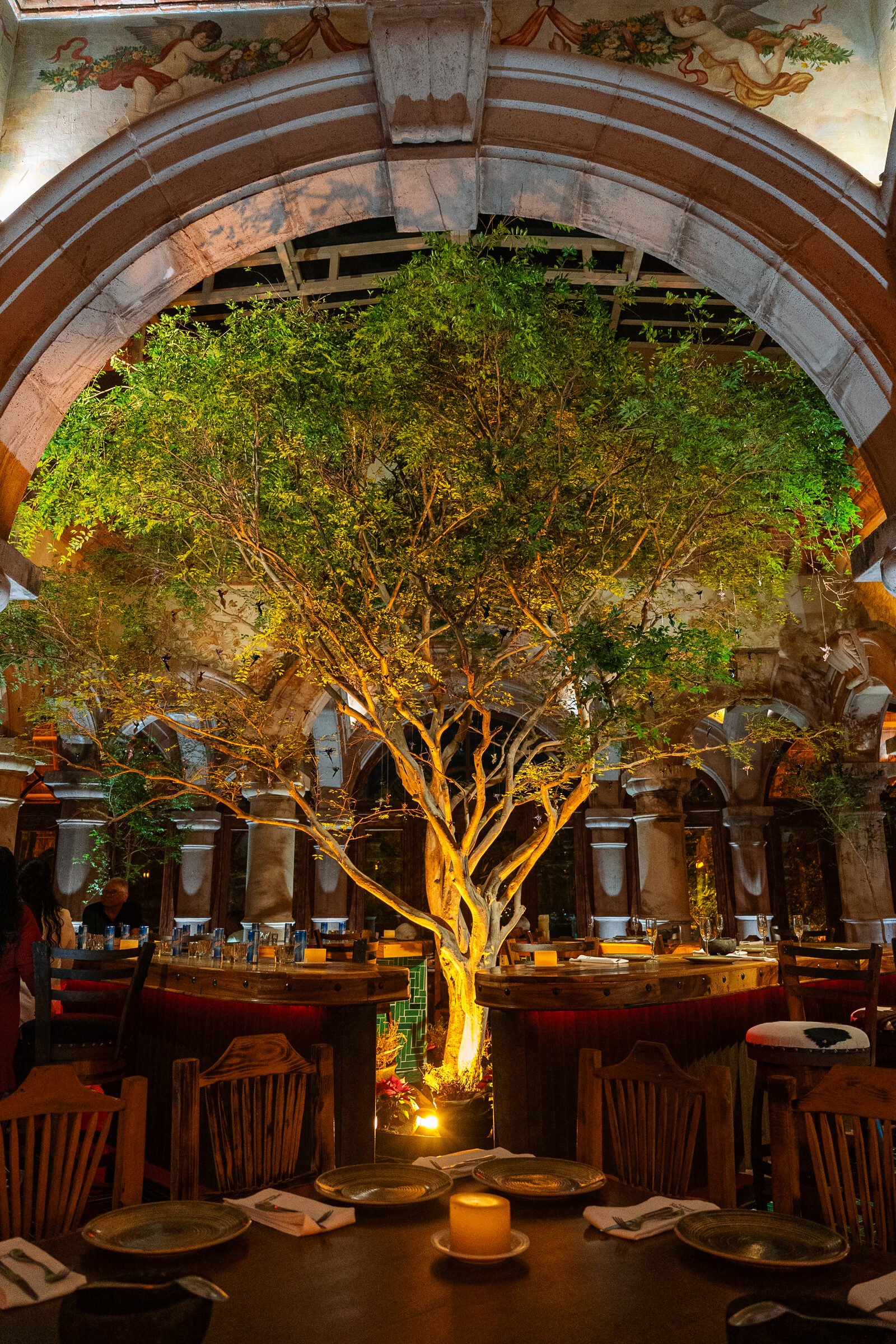 Bar Santo Coyote Vallarta